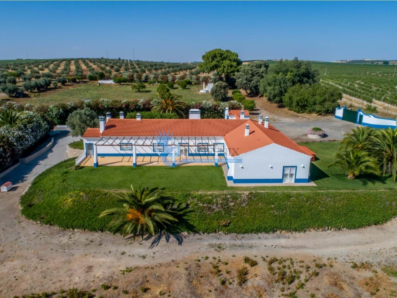 10 bed Farm in Ferreira do Alentejo, Beja