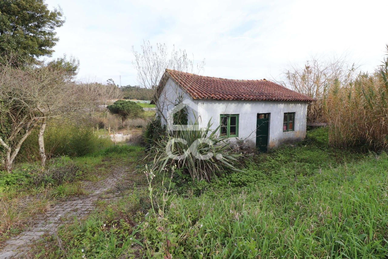 Plot / Land in Coimbra