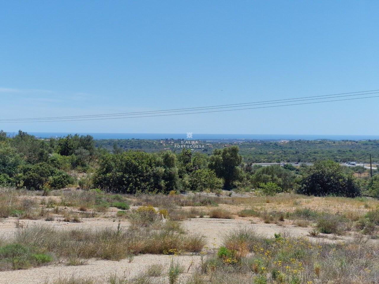 Plot / Land in Boliqueime, Loulé, Central Algarve
