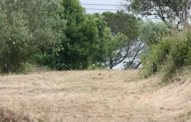 Plot / Land in Vila Verde, Figueira da Foz, Coimbra