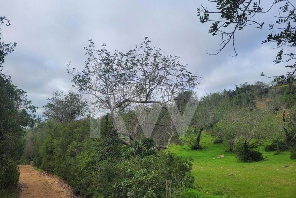 Perceel / Land in Paderne, Albufeira, Central Algarve