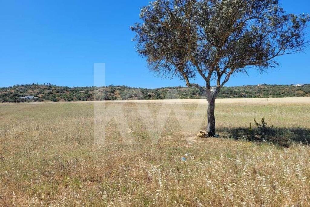 Perceel / Land in Algoz, Silves, Western Algarve