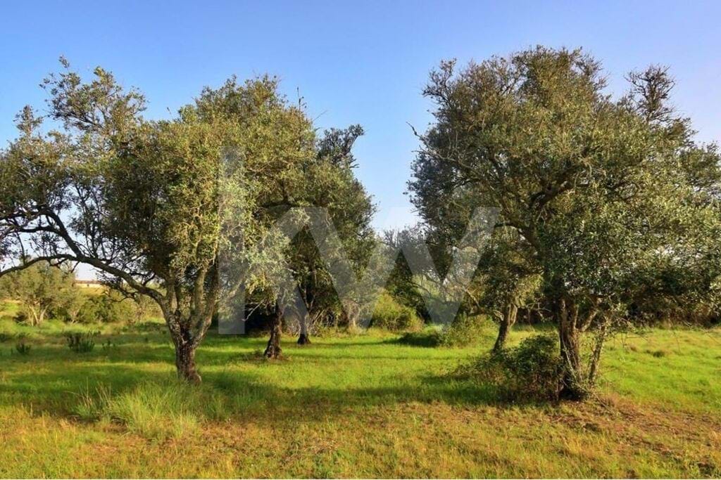 Plot / Land in São Bartolomeu de Messines, Silves, Western Algarve