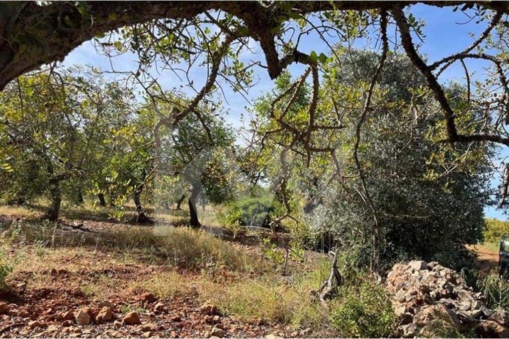 Perceel / Land in Paderne, Albufeira, Central Algarve