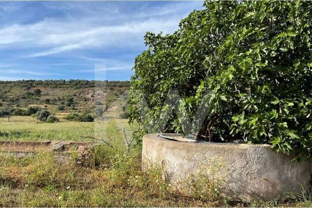 Plot / Land in São Bartolomeu de Messines, Silves, Western Algarve