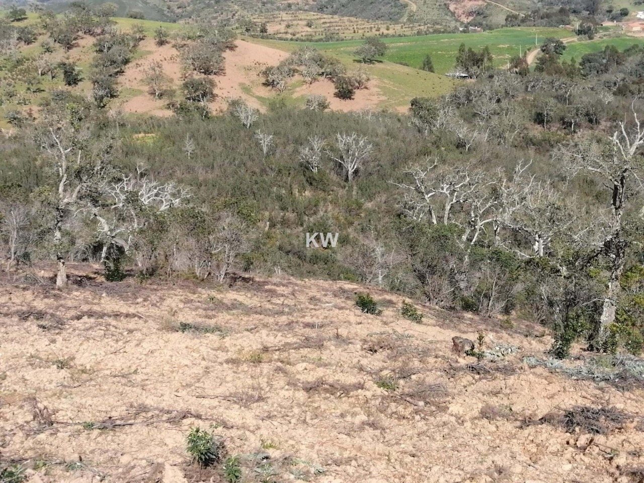 Plot / Land in Sabóia, Odemira, Beja