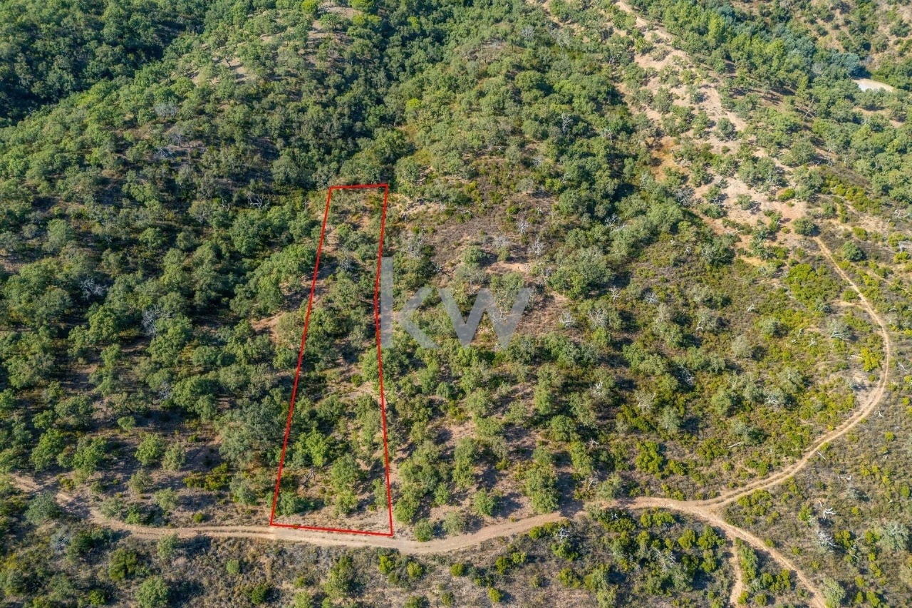 Perceel / Land in Querença, Loulé, Central Algarve