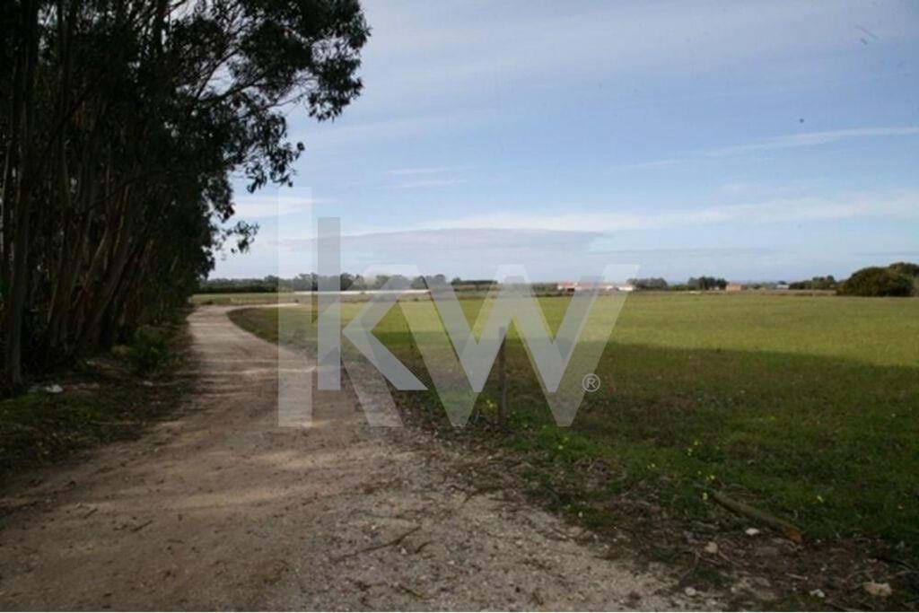 Plot / Land in São Teotónio, Odemira, Beja