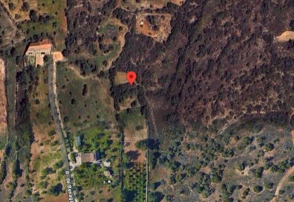 Perceel / Land in Pêra, Silves, Western Algarve