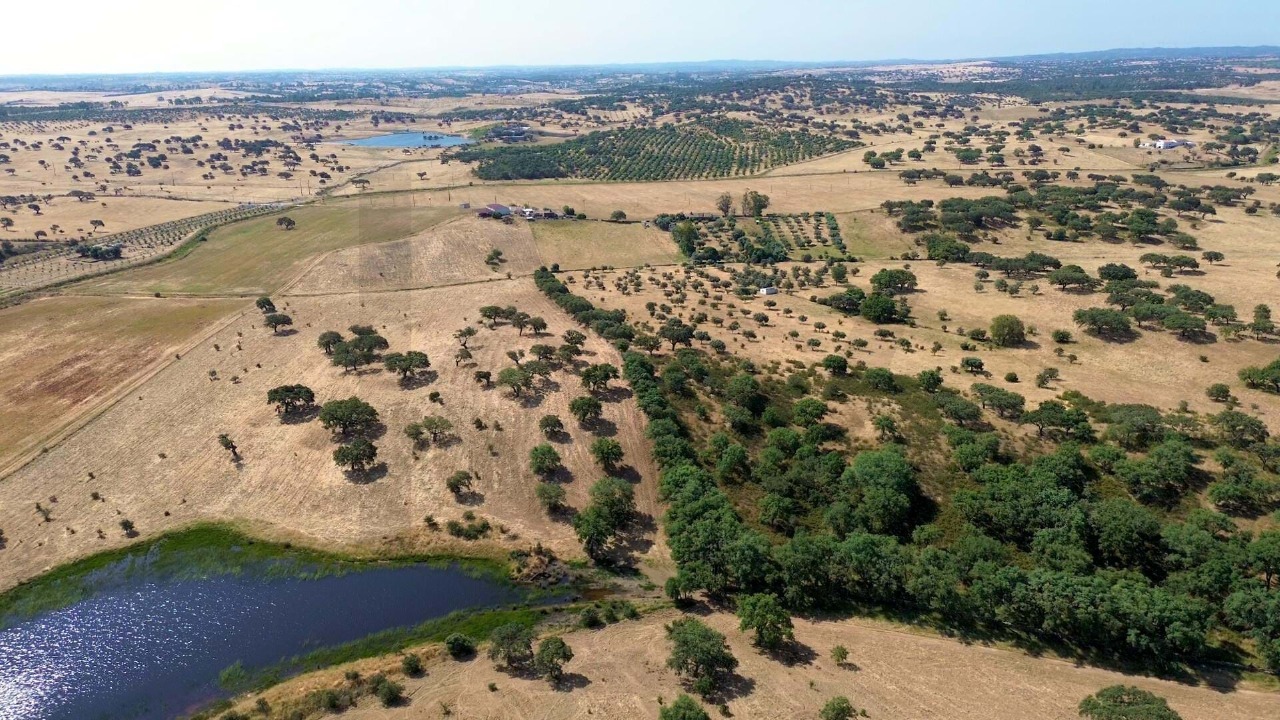 Perceel / Land in Graça dos Padrões, Almodôvar, Beja