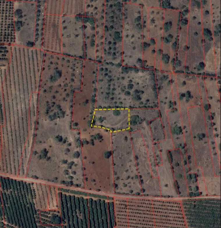 Perceel / Land in São Bartolomeu de Messines, Silves, Western Algarve