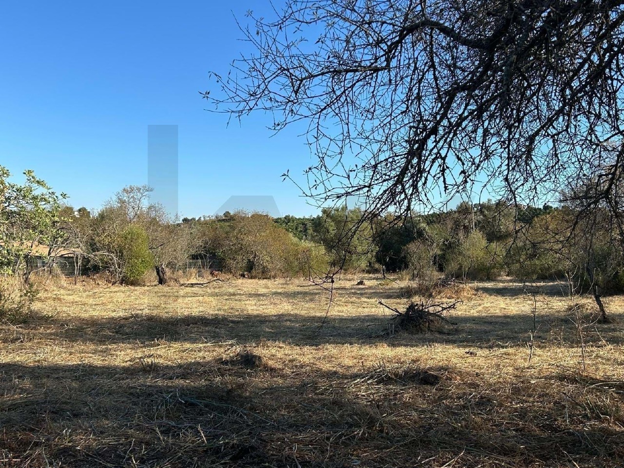 Perceel / Land in Algoz, Silves, Western Algarve