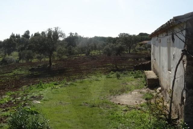 Plot / Land in Ourique, Beja