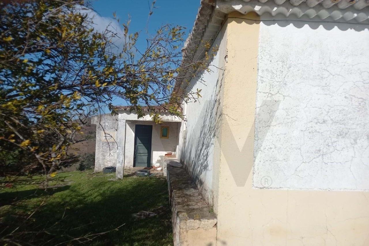Plot / Land in Santana da Serra, Ourique, Beja