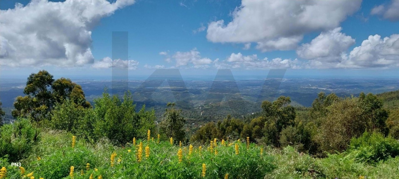 Perceel / Land in Monchique, Western Algarve