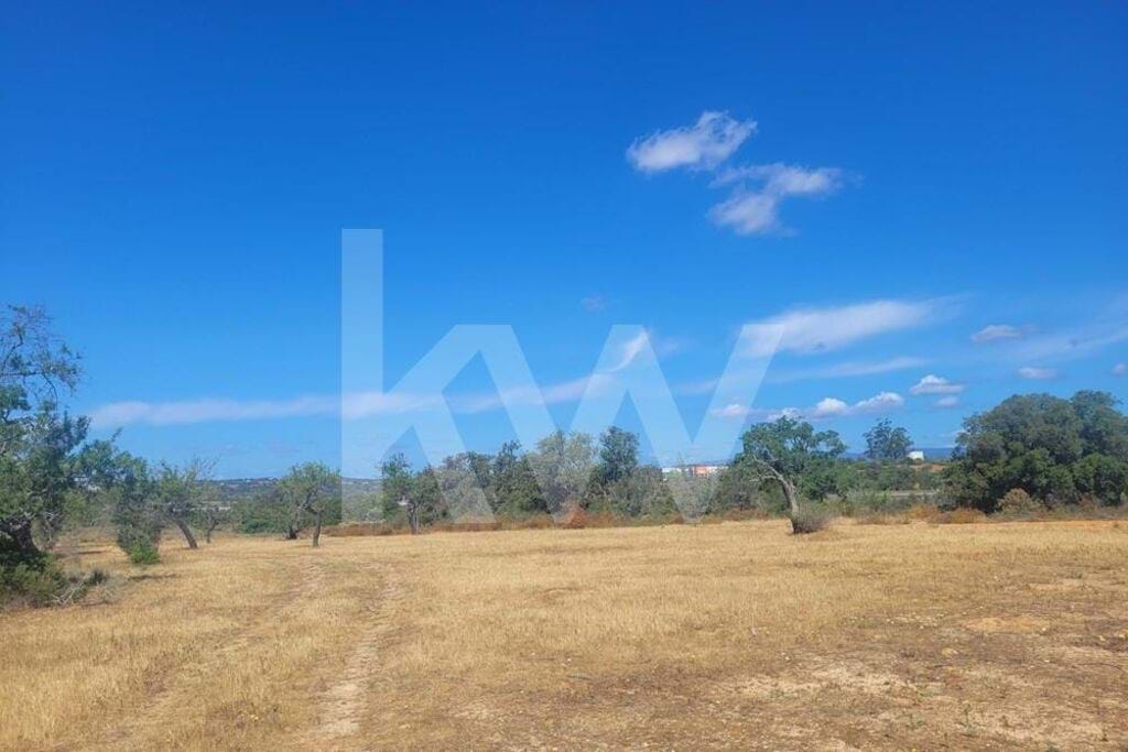 Plot / Land in Pêra, Silves, Western Algarve