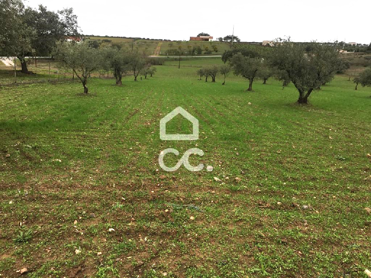 Perceel / Land in Amareleja, Moura, Beja