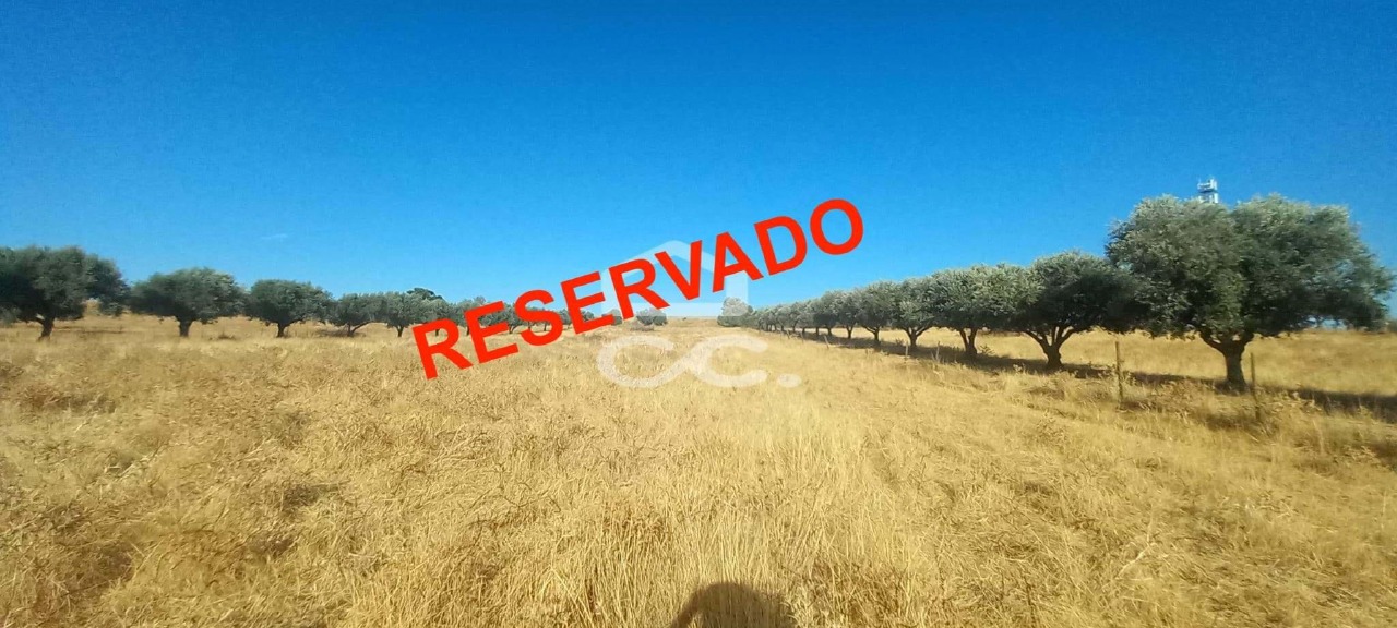 Plot / Land in Baleizão, Beja