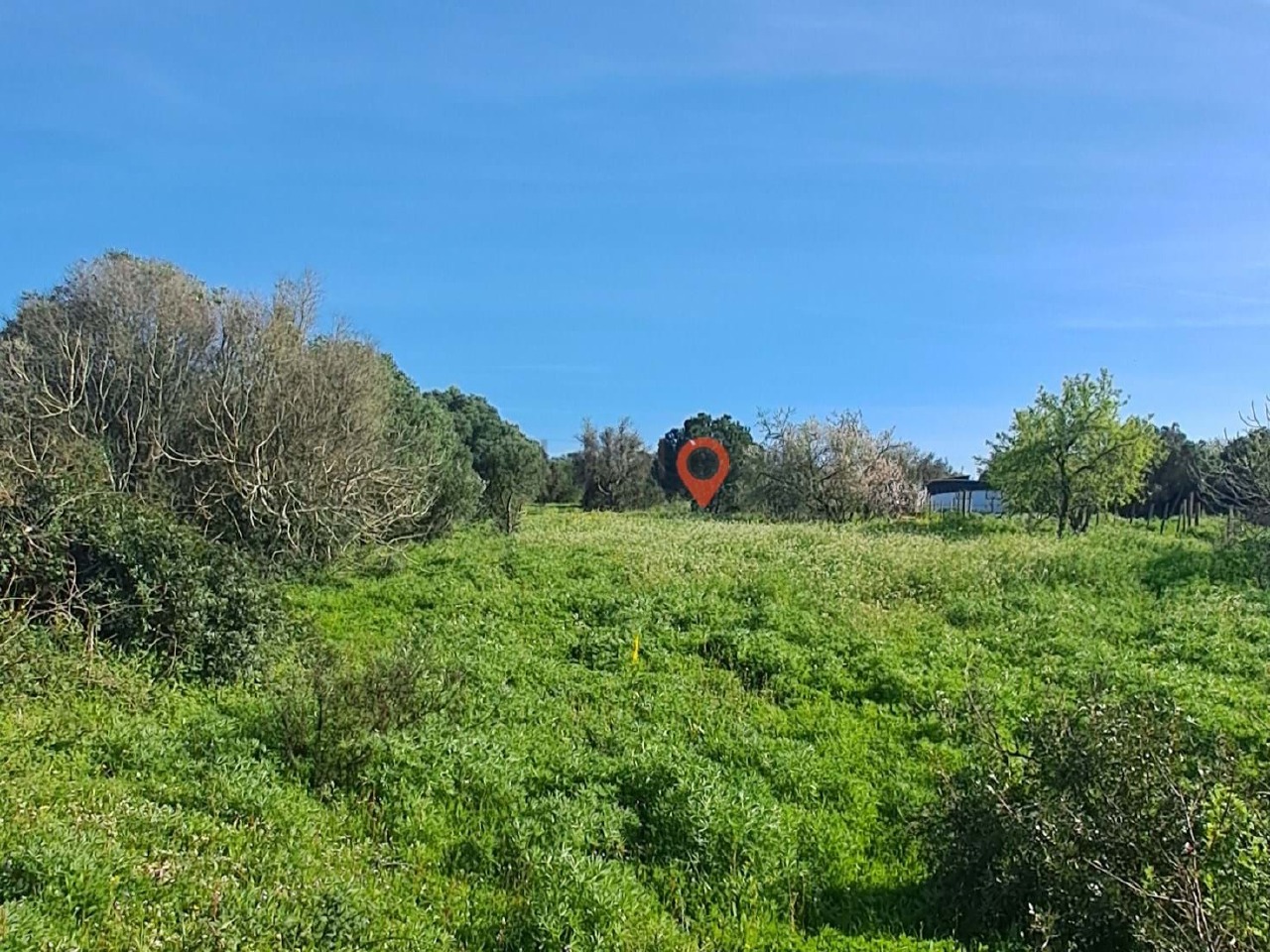 Plot / Land in Barão de São Miguel, Vila do Bispo, Western Algarve