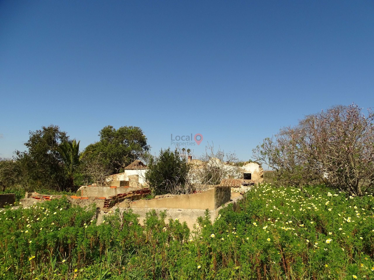 Plot / Land in Lagos, Western Algarve