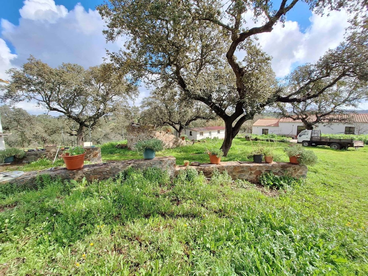 4 bed Appartement in Santo Aleixo da Restauração, Moura, Beja