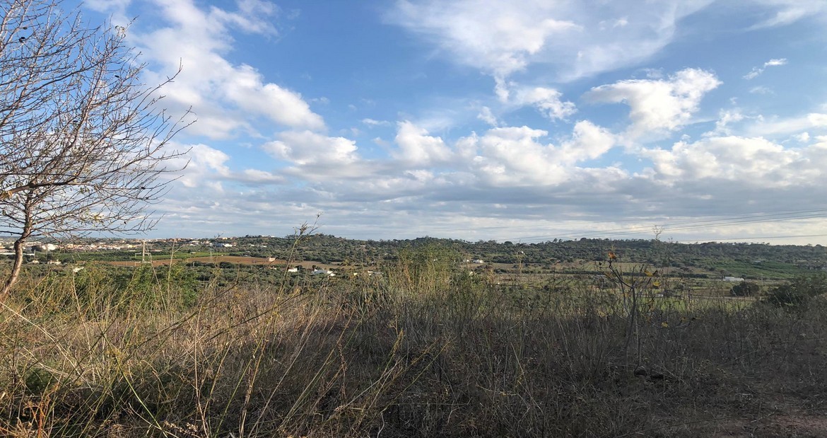 Perceel / Land in Silves, Western Algarve