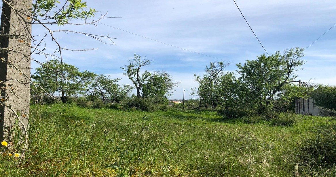 Plot / Land in Pêra, Silves, Western Algarve