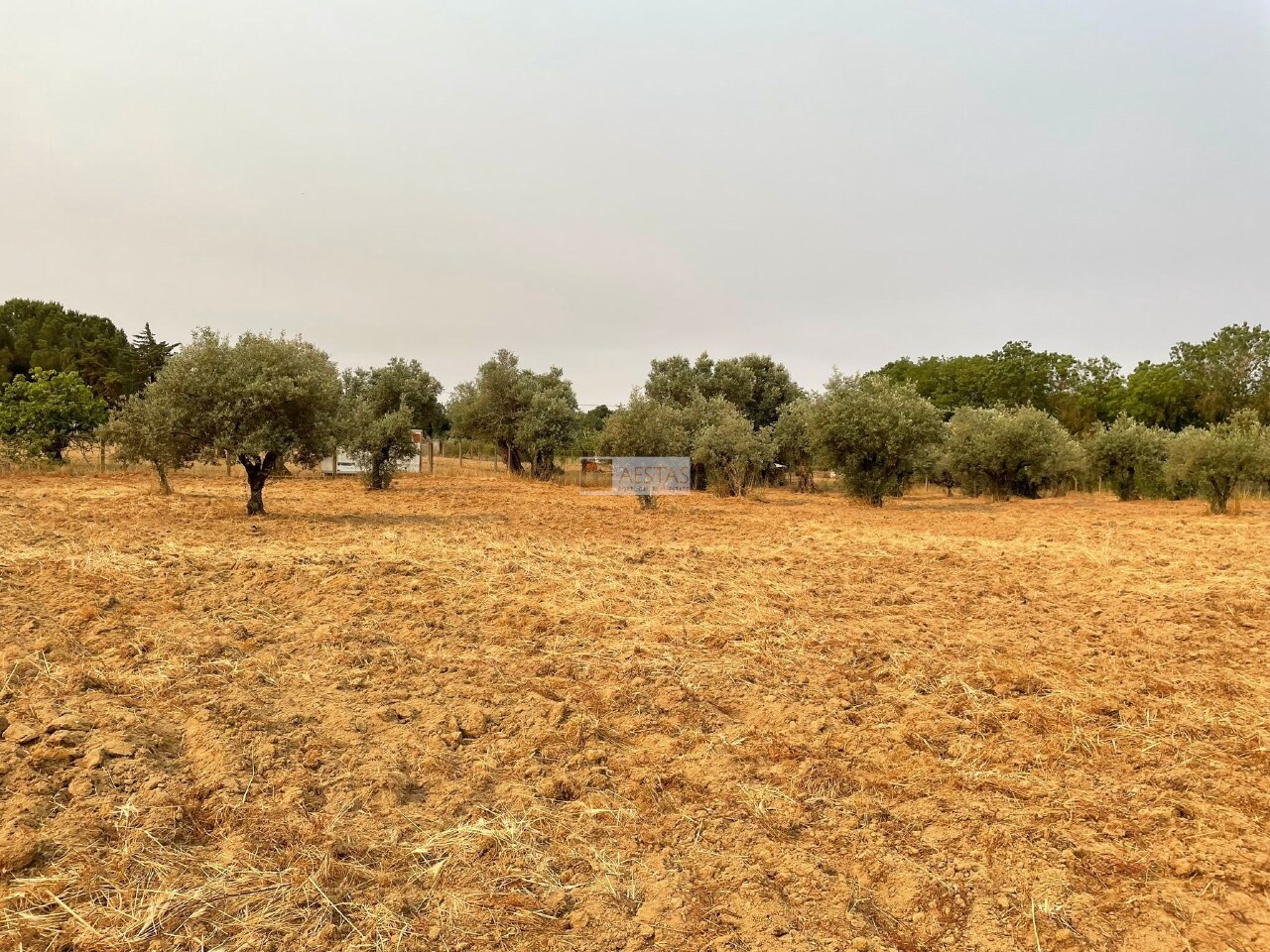 Plot / Land in Pedrógão, Vidigueira, Beja