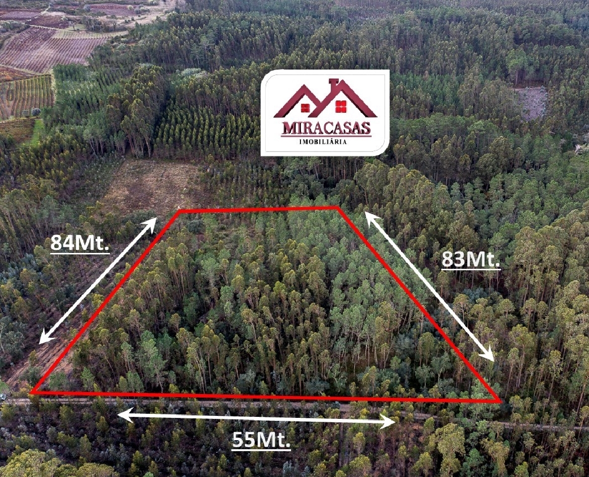 Plot / Land in Cantanhede, Coimbra