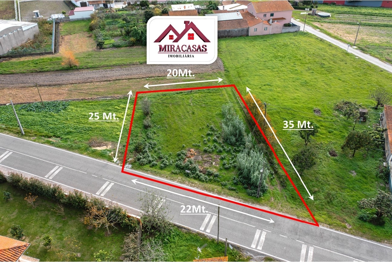 Plot / Land in Montemor-o-Velho, Coimbra