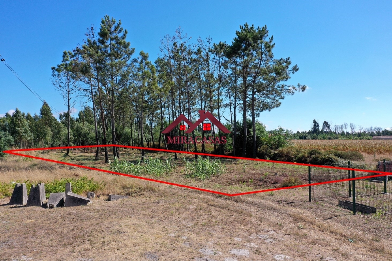 Perceel / Land in Mira, Coimbra