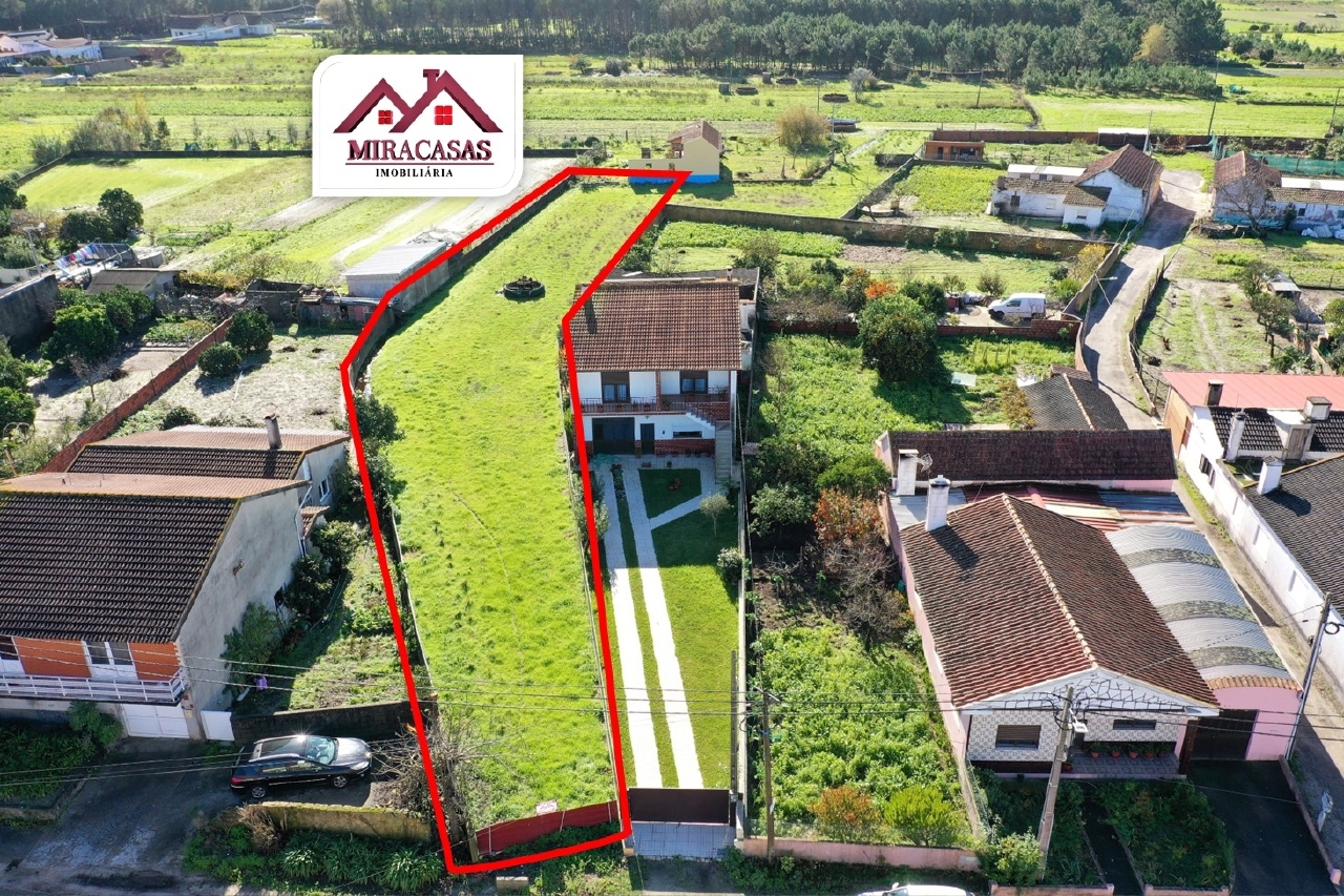 Plot / Land in Vagos, Aveiro