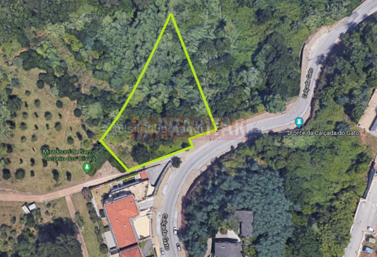 Plot / Land in Coimbra