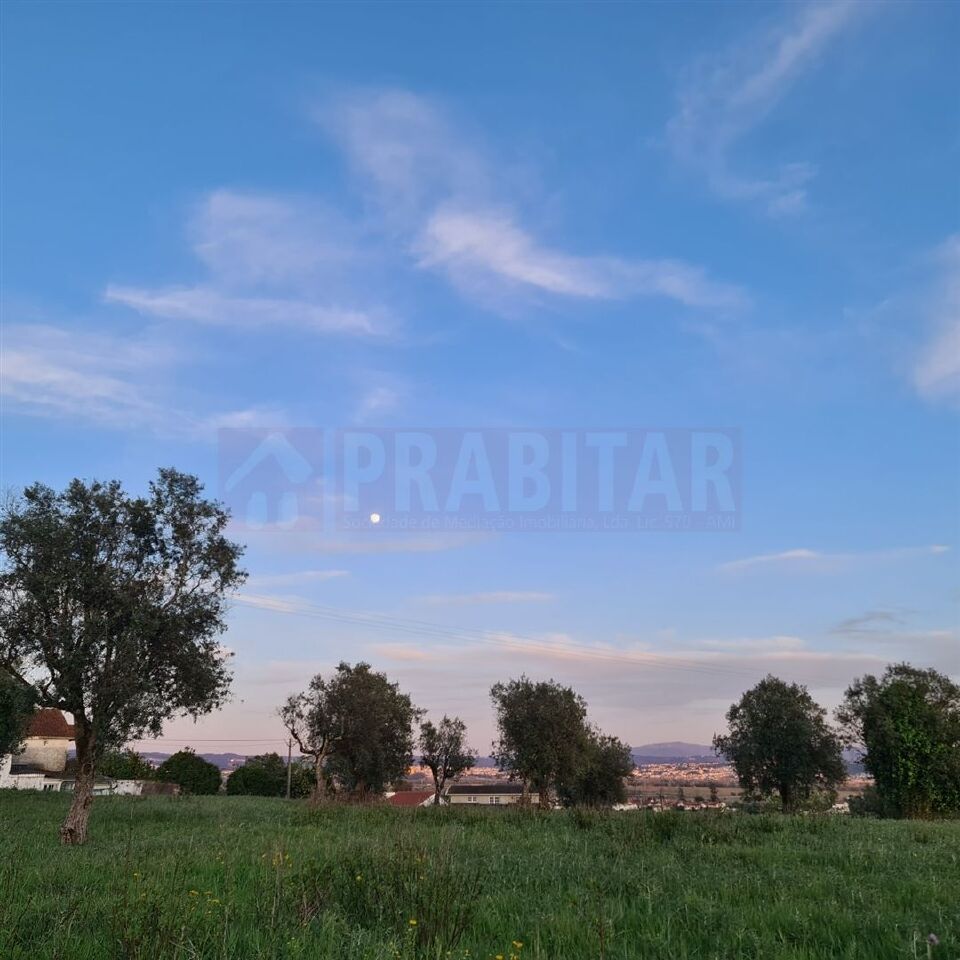 Perceel / Land in Coimbra