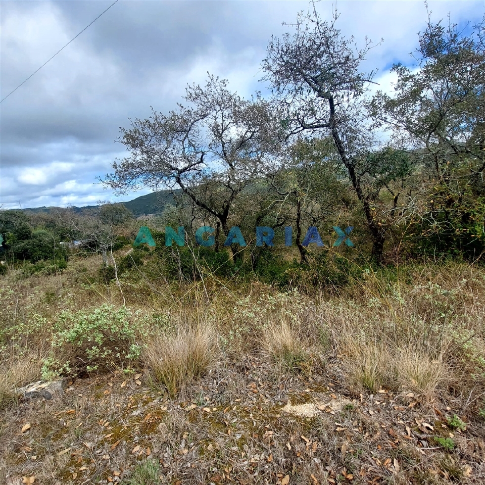 Plot / Land in Porto de Mós, Leiria