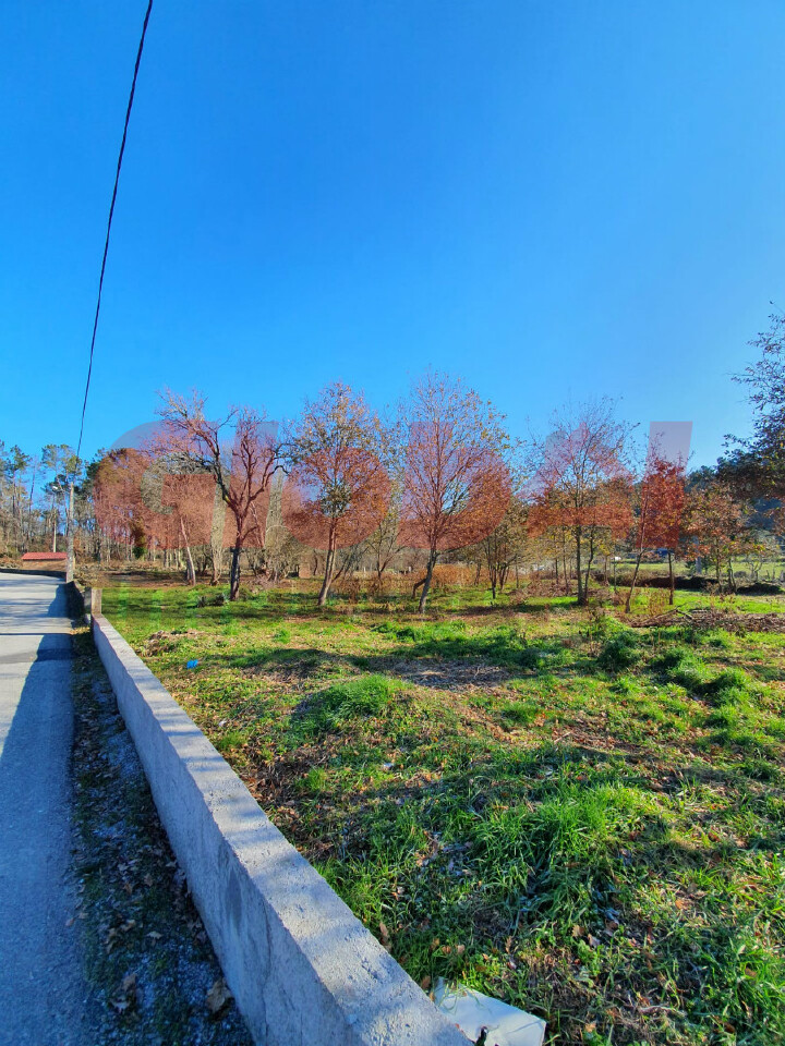 Perceel / Land in Viseu