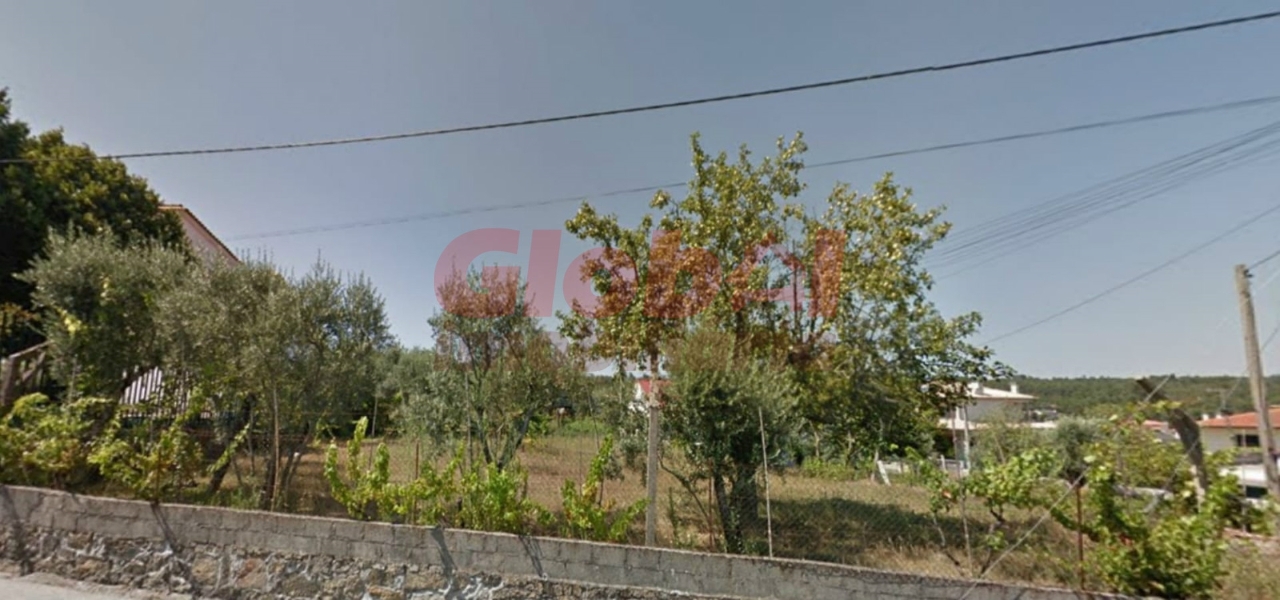 Plot / Land in Viseu
