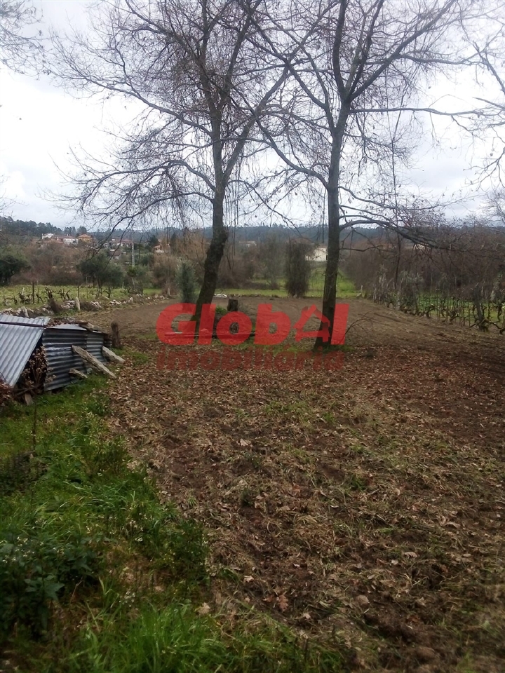 Plot / Land in Viseu