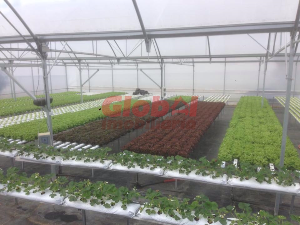 Boerderij in Mangualde, Viseu