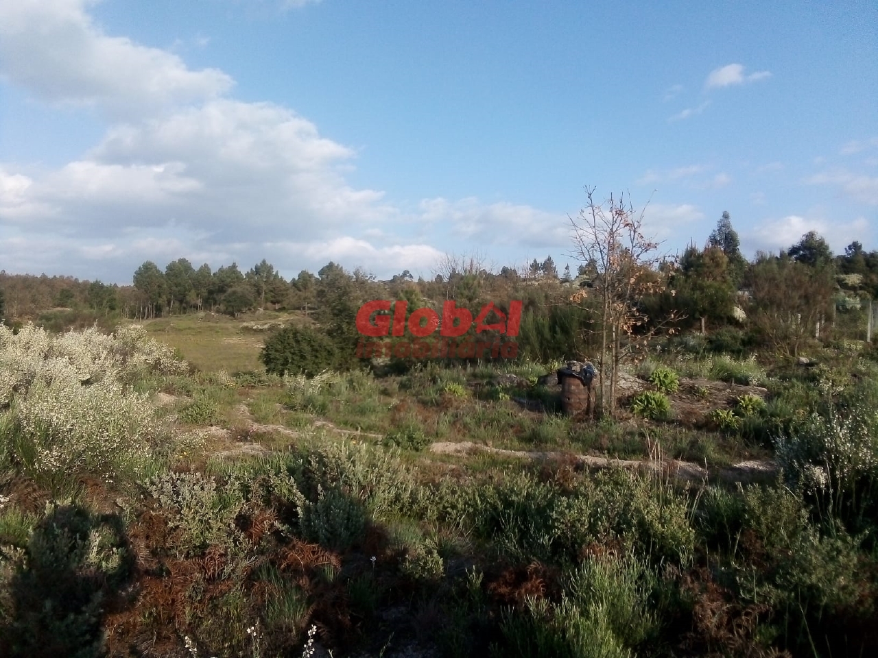 Plot / Land in Gouveia, Guarda