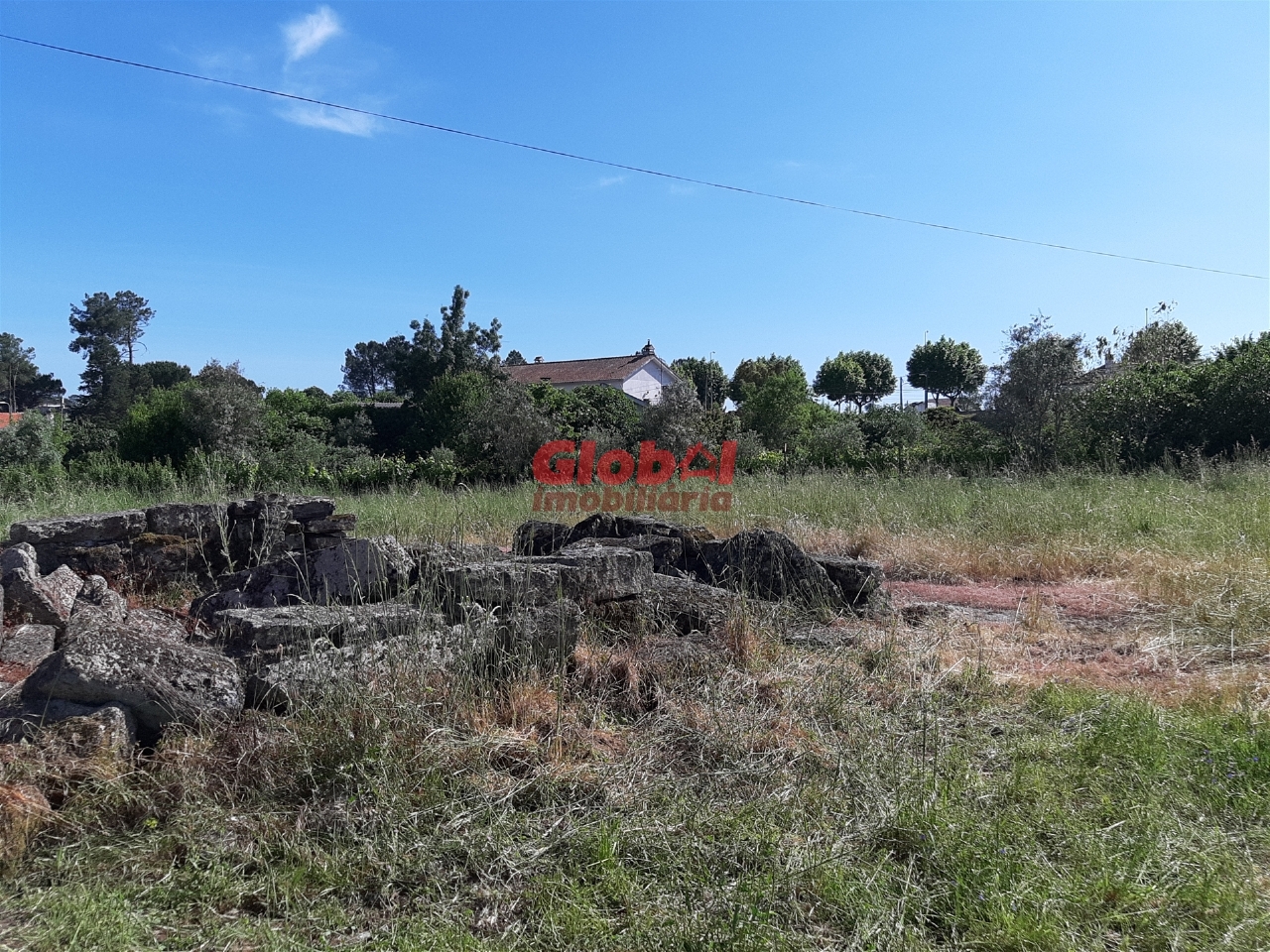 Plot / Land in Nelas, Viseu