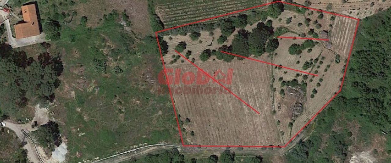 Perceel / Land in Viseu