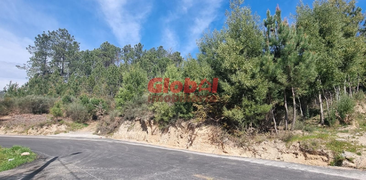 Plot / Land in Viseu