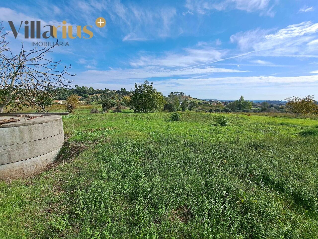 Plot / Land in Tomar, Santarém