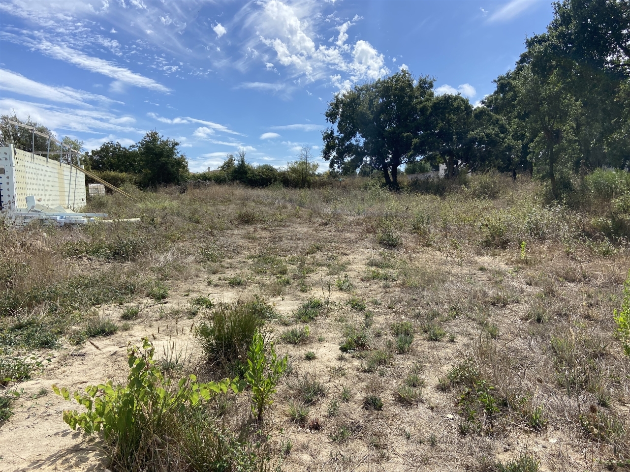 Plot / Land in Leiria