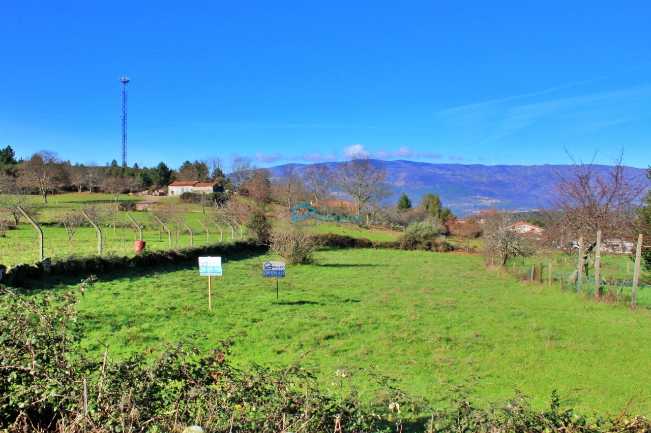 Plot / Land in Vila Real