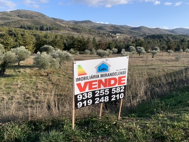 Plot / Land in Mirandela, Bragança
