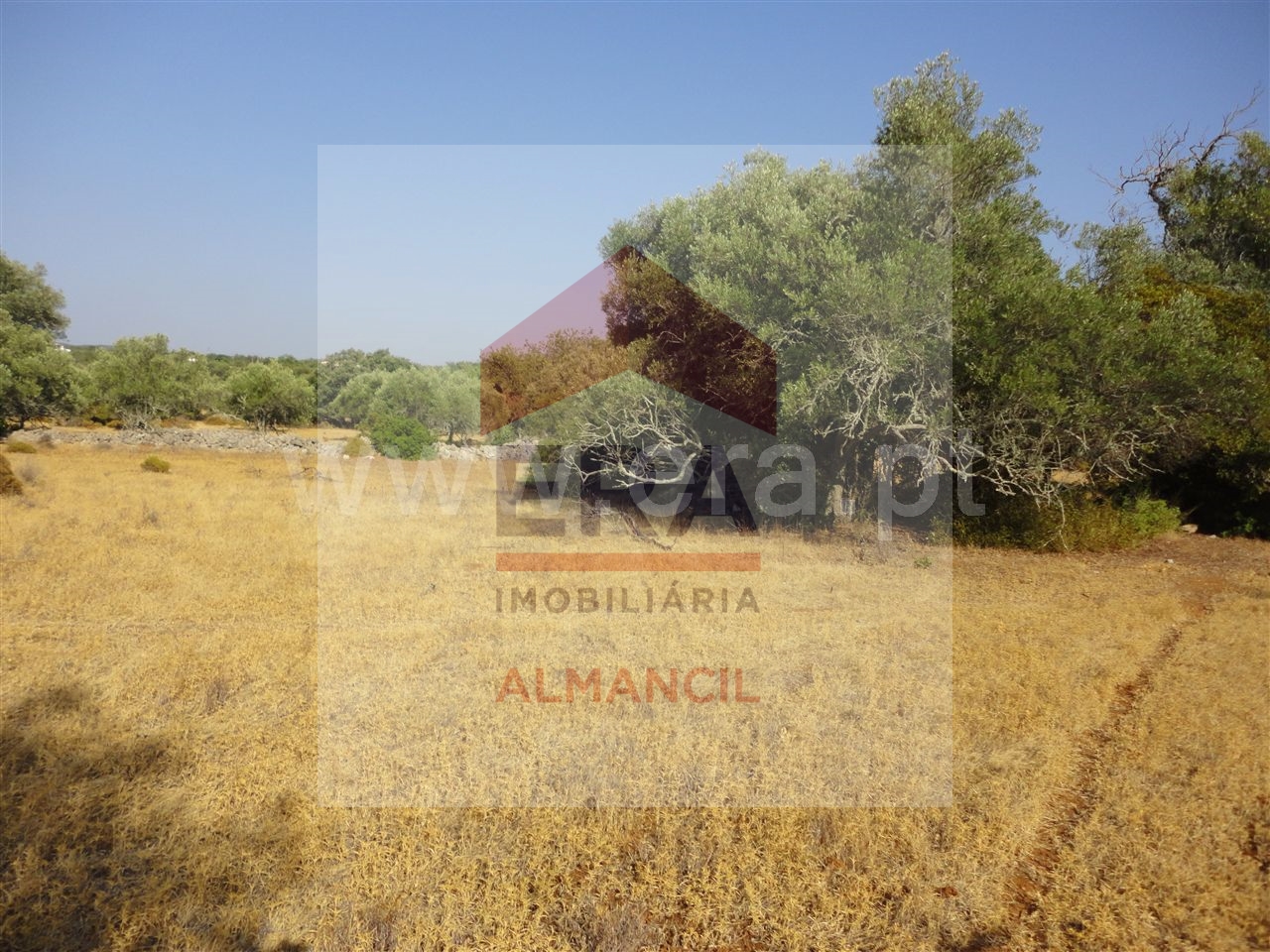 Plot / Land in Faro, Central Algarve