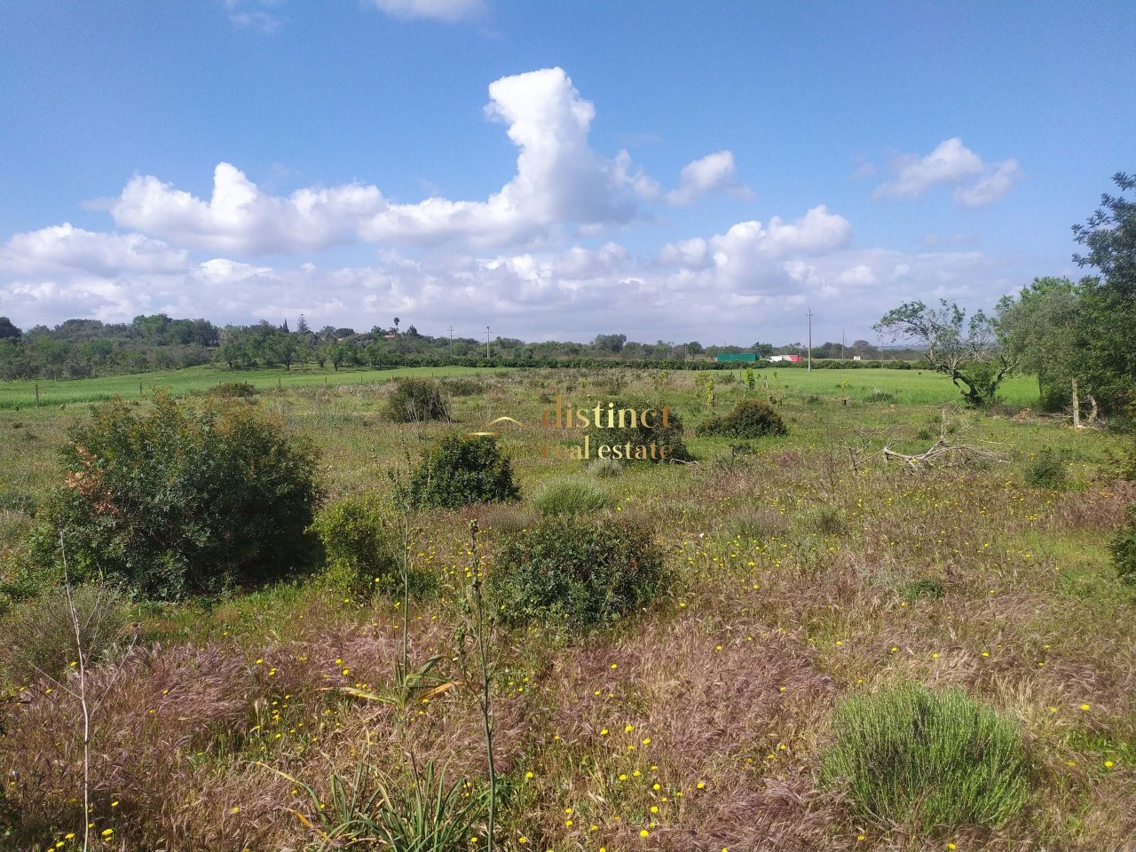 Perceel / Land in Silves, Western Algarve