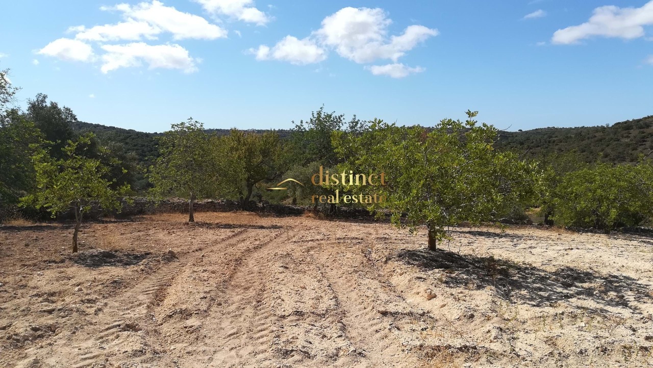 Perceel / Land in Albufeira, Central Algarve
